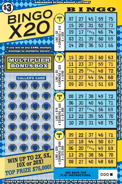 Bingo X20