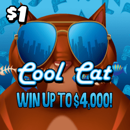 Cool Cat