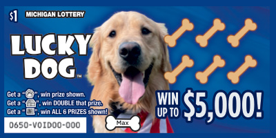 Lucky Dog