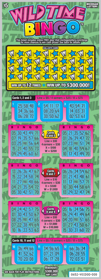 Wild Time Bingo