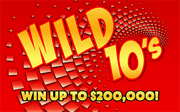 Wild 10's front