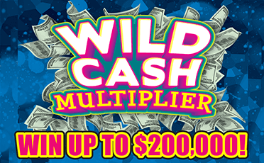 Wild Cash Multiplier front