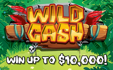 Wild Cash front
