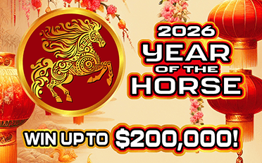 Year Of The Horse