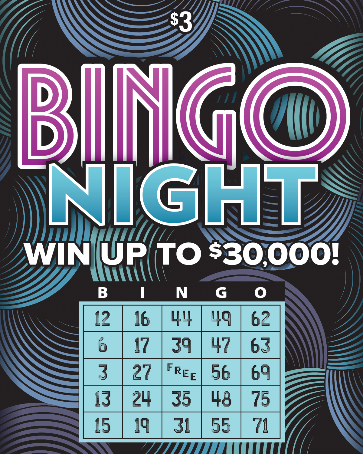 Bingo Night