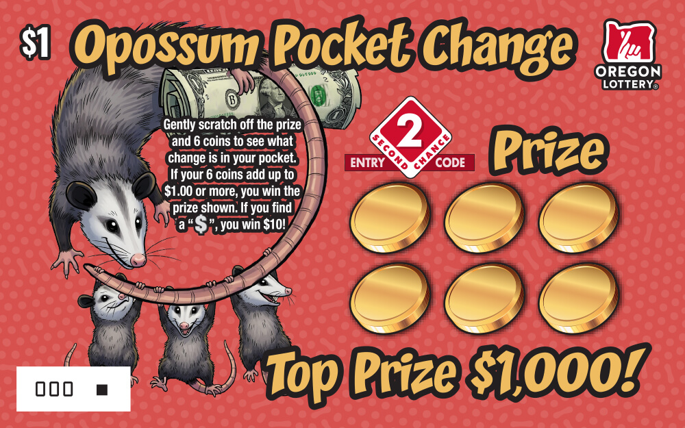 Opossum Pocket Change